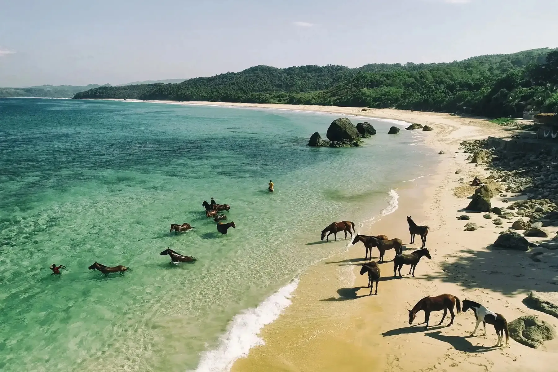 Bali and Sumba and Tokyo — Jungle, Surf, and Neon